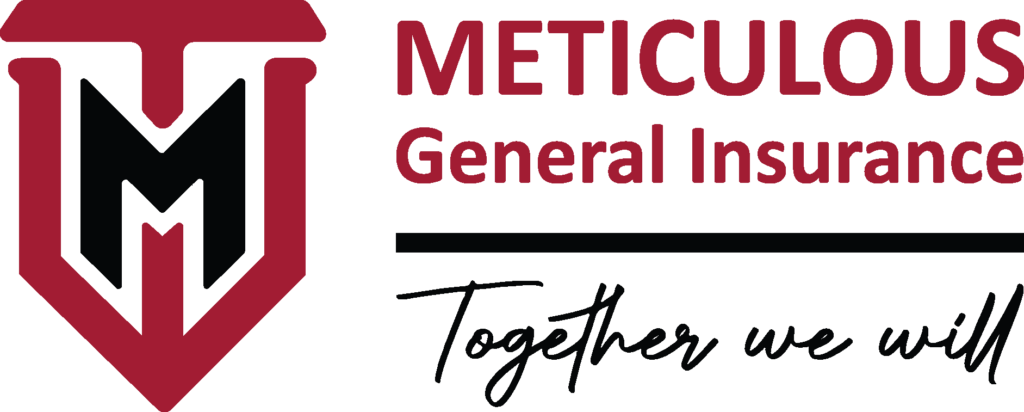 Meticulous General Insurance